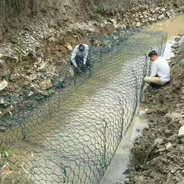 应用案例